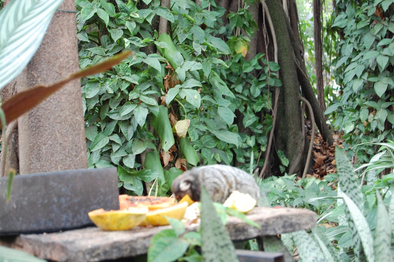 Parque Paraiso Das Flores 奥兰布拉 外观 照片